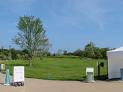 yosshỹi`XLPAH@i`̐X̓eʐ^1