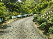 ��������񂳂�̉F�ÎR�Ð��̓��e�ʐ^2