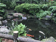 TXL����̐����R���{���̓��e�ʐ^2