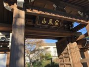 chaka����̏h�P�R���~���̓��e�ʐ^3