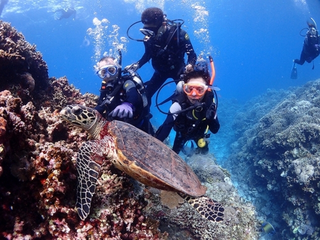 �E�~�K���I�I_Marine�@Service�@FAMILLE