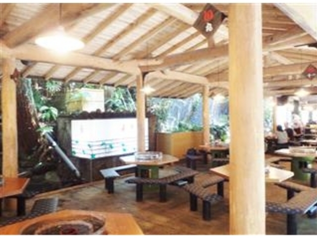 �u���D�������߂񗬂����v_���D������