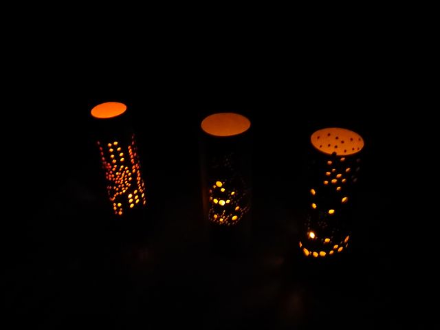 ÛRl̎qBɃm̌oɎf܂
utl̎wJŁAfGȍio܂_GreeNexus