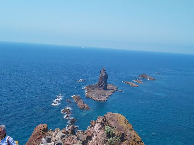 �_�Ж��̐�[����̌i�F_�_�Ж�