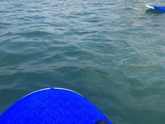 ̐ɓrto^jVCYTbvւ̓eʐ^1