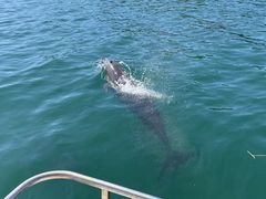 hijikigoke̊CƃIS[ւ̓eʐ^1