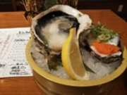 hokohoko̎OږԌ NY V~lX̓eʐ^1