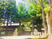 308777isa̐zKЁEБO{̓eʐ^2