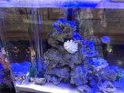 ���b�s�`����̏ē��E��˃��}�g �k��X�̓��e�ʐ^2