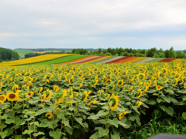 �l�G�ʂ̋u_�l�G�ʂ̋u