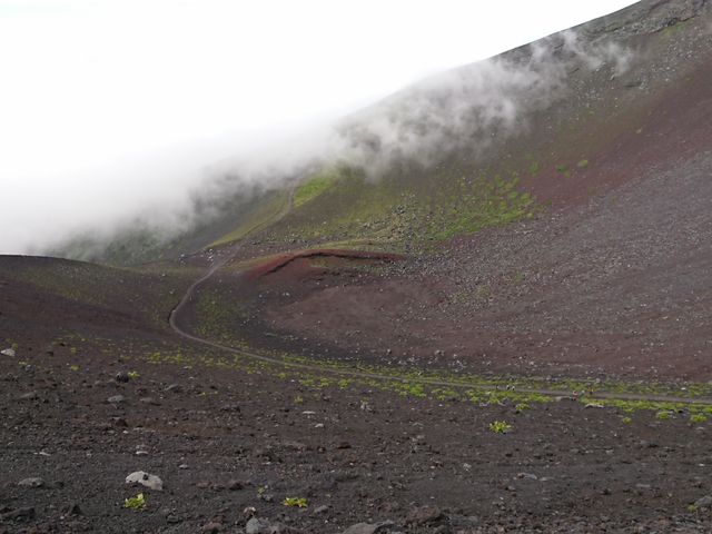 ��i�R�Ό��@�㕔�̕�����̒��]_��i�g���b�L���O�R�[�X