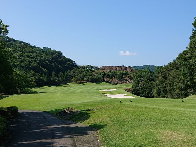 qT̃S[hȖ؃vWfgJg[Nu̓eʐ^2