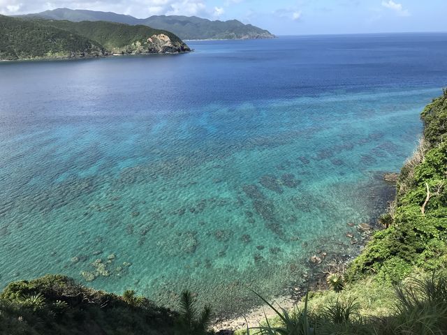 �r���̉����u���[_�{�Í�