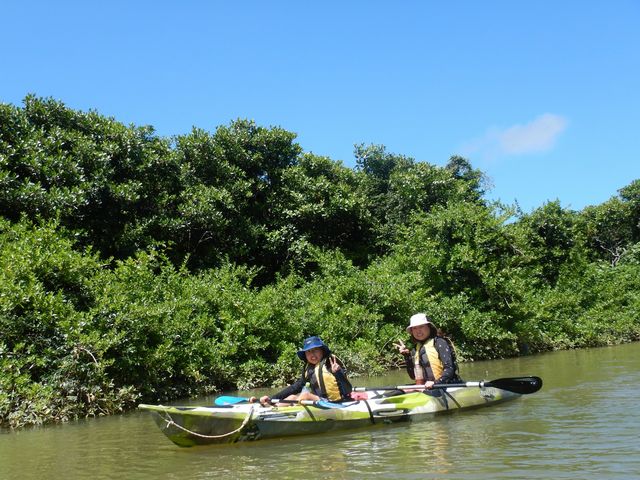 �Y��ł����I_���΂�G�R�t�B�[���h�@����