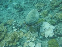 nZẺvKChNuւ̓eʐ^2