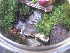 ߂̃t@~[K[fzt(ztAjւ̓eʐ^1