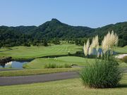 qT̃S[hȖ؃vWfgJg[Nu̓eʐ^1