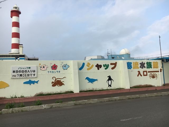 �m�V���b�v����������