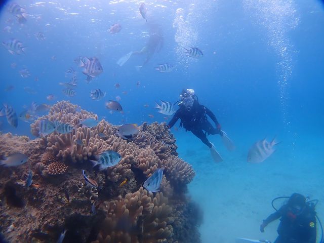 �������������ς�_SHIZUKA