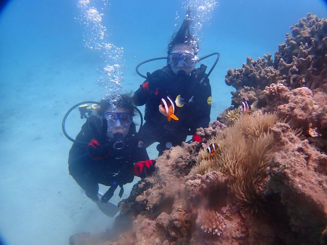 �j�������I_SHIZUKA