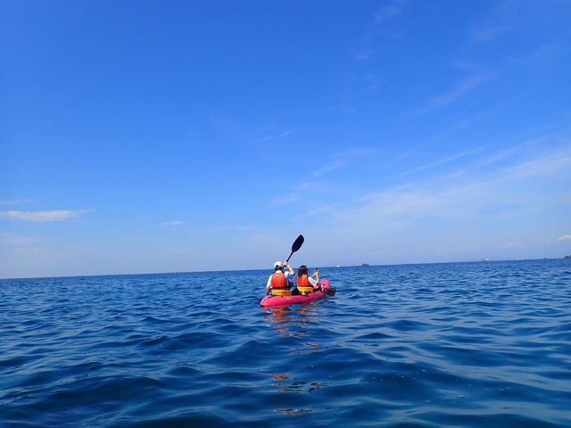 �޳�����_���ɓ��E�c�q�J���b�N�Z���^�[SeaFan�`�V�[�t�@���`