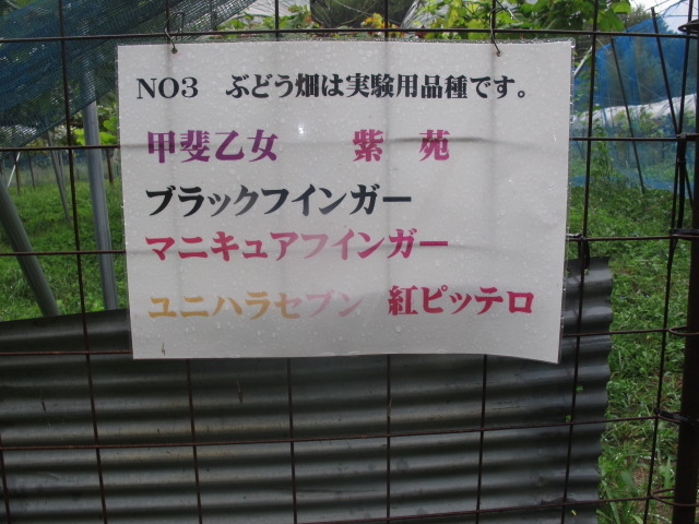 No-4�Ԃǂ����̈ē�_�^�y��