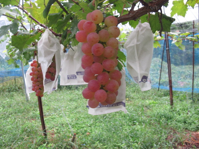 �b�㉳��
_�^�y��