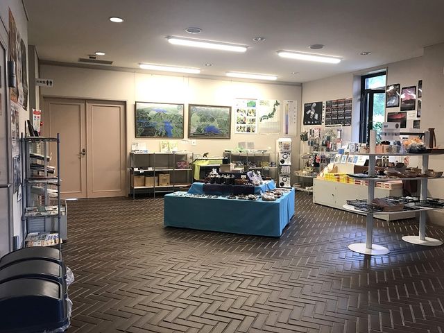 ���X_�֒�R���΋L�O��