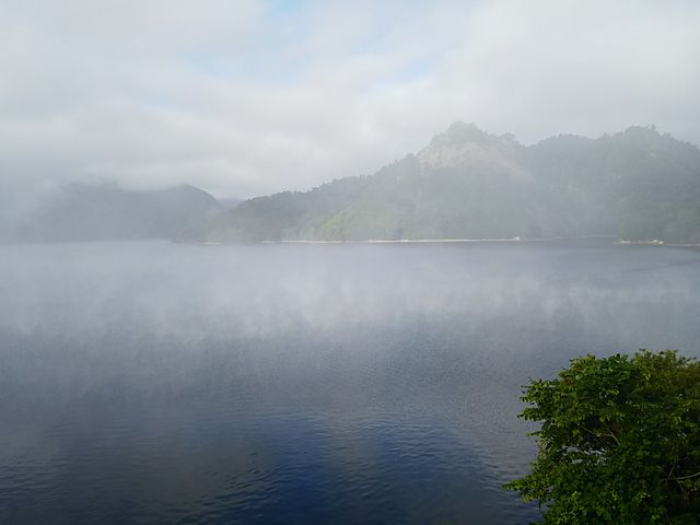 ���̌΂ł�_�c�q�q��