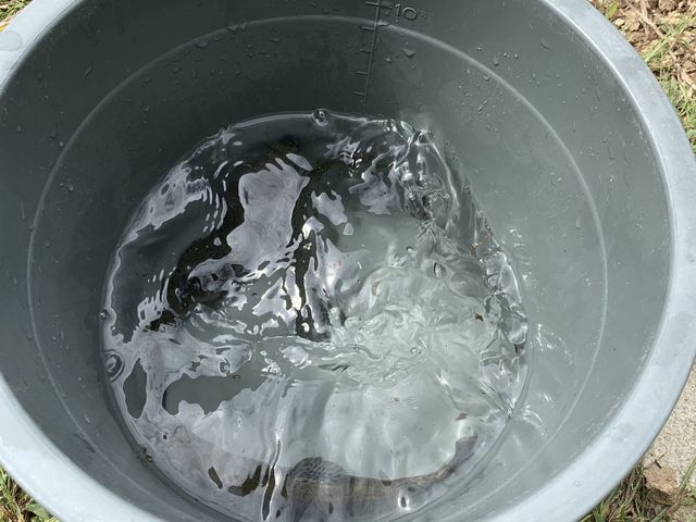 �j����ȒP�ɊO�ꂽ��_��ˍ��R�ޒr�@����