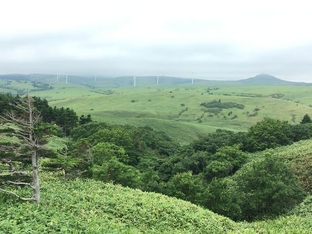 �@�J�u�ˎ��X�͒n�`