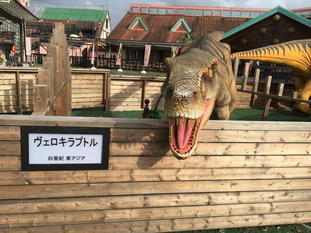 ���̂�����_�����h�C�c��