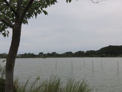 �Ă�������̐�g�����ւ̓��e�ʐ^1