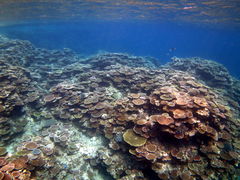 ݂̂̃}T[rX@pb\ւ̓eʐ^2