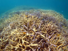 ݂̂̃}T[rX@pb\ւ̓eʐ^3