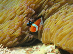 ݂̂̃}T[rX@pb\ւ̓eʐ^4