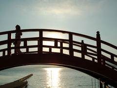 ܂񂳂̊ڎRTS[Czeւ̓eʐ^1