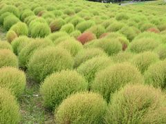 Ă̍cЂClւ̓eʐ^1