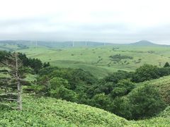 ike55jp����̏@�J�u�ˎ��X�͒n�`�ւ̓��e�ʐ^1