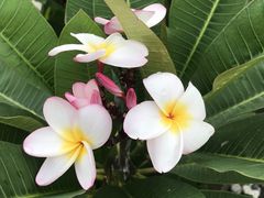 񂳂̃Go[u[vւ̓eʐ^3