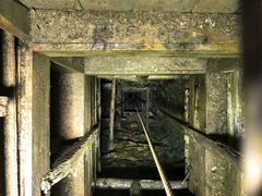 J񂳂̑␶Rւ̓eʐ^1