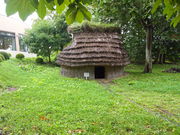 ˂񂳂̔ˎsꕶwKق̓eʐ^4