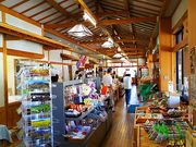 ˂񂳂̓̉wӂ邳ƖLc̓eʐ^4