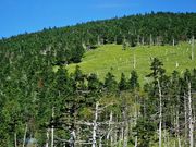 񂳂̖kx[vEFCR[w̓eʐ^2