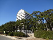 Ђ낳̐_ˎshɐ{V[p{̓eʐ^3