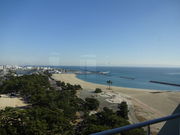 Ђ낳̐_ˎshɐ{V[p{̓eʐ^6