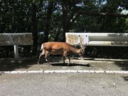 �����񂳂�̐����ѓ��̓��e�ʐ^1