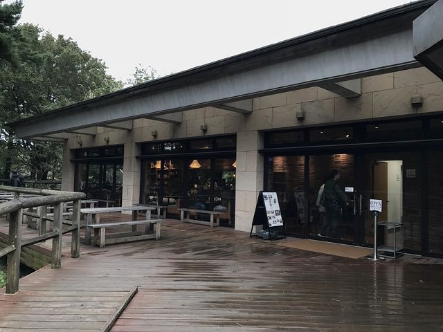 X̃EbhfbLeX_LO̐XXgnEX