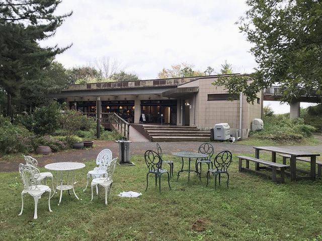 ◣ꂽꏊɂ鉮OeX_LO̐XXgnEX