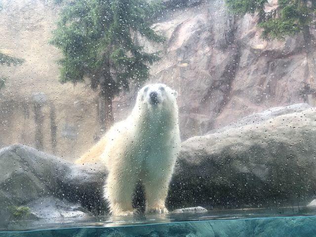 �j���ł��鎞�́A���͂�����܂���I_���R������